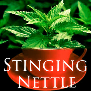 Stinging Nettle  Dried Leaves "Matcha Lattes" - Organic - Buy 1 Get 1 Free  *