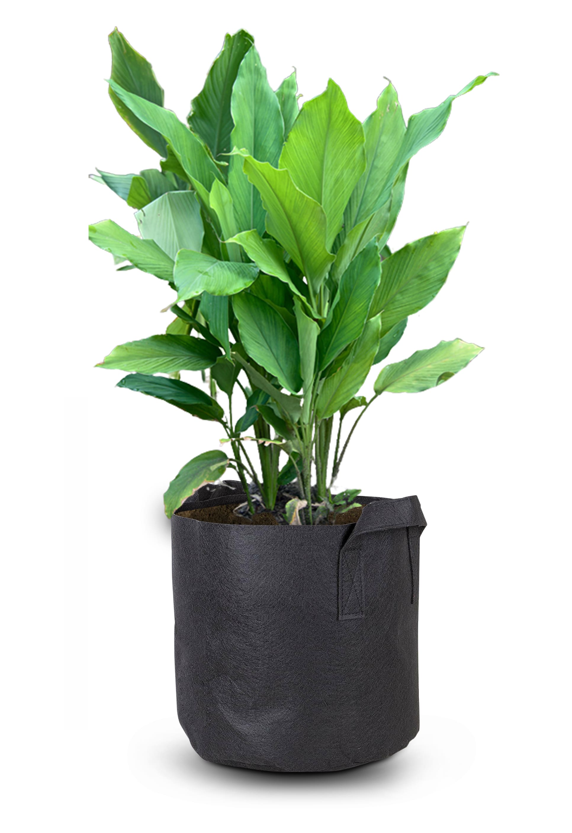Fabric Grow Bag - Grow Greener Grow Bags -  (Does Not Include  Turmeric)