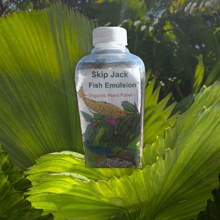 Skip Jack Fish Emulsion breaks down the compost with million bacteria and fungi. Plants cannot eat unless the compost is broken down. Use Skip Jack and your garden will reward you with many great harvests all season.