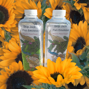 Skip Jack Fish Emulsion breaks down the compost with million bacteria and fungi. Plants can not eat unless the compos t is broken down. Use Skip Jack and your garden will reward you with many great harvests all season.